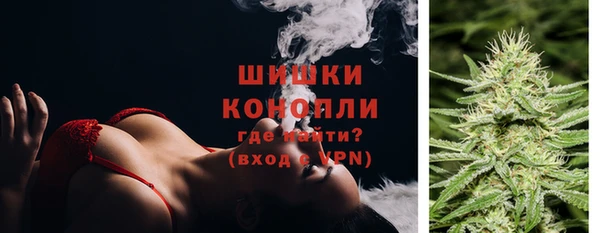 амф Липки