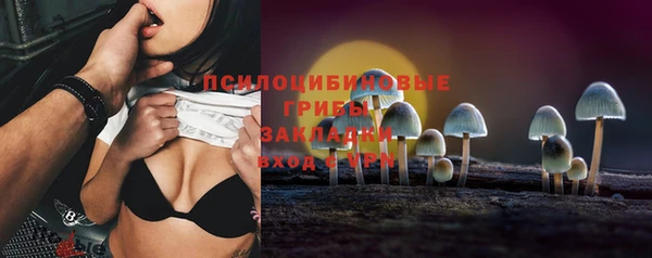 ешки Осинники