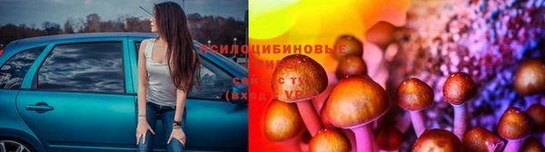 винт Медвежьегорск