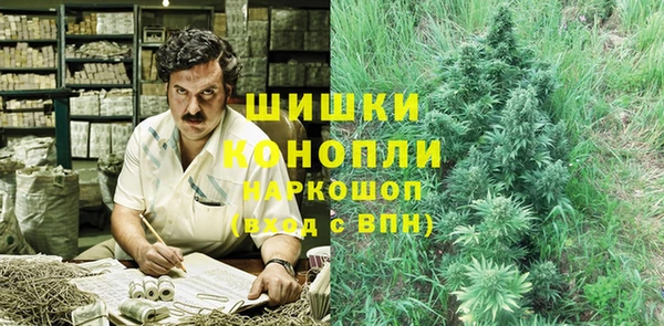 дмт Нягань