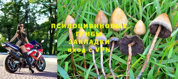 амф Липки