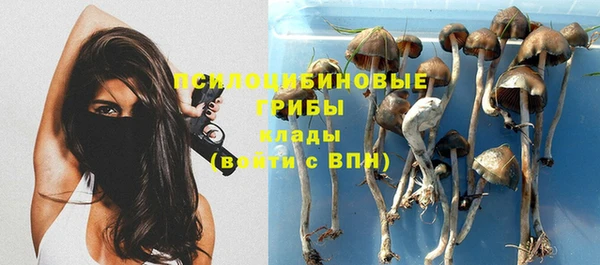 Альфа ПВП Щёлкино