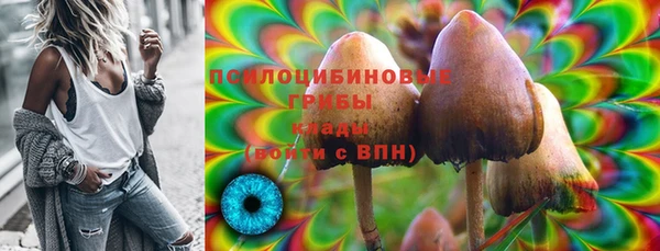 прущая мука Щигры